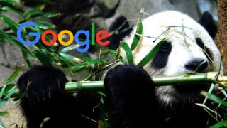 Google Panda
