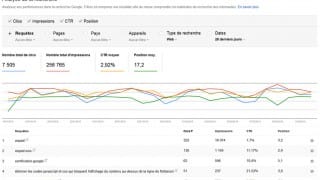 Rapport Analyse de la recherche de la Google Search Console (02/2016)