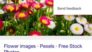 Nouveau menu de Google Images sur mobile (2016)