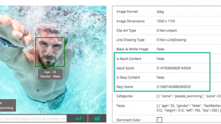 Bing et l'analyse d'image pour la sécurité des résultats dans les SERP