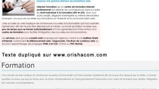 Exemple de contenus dupliqués d'Internet-Formation