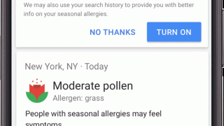 Google prévient des allergies et pollens dans les SERP