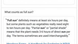 Les extraits multi-facettes de Google (featured snippet multi faceted) pour de multiples réponses dans les SERP