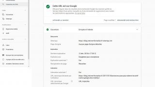 Vérification de la présence d'un site dans l'index Mobile First