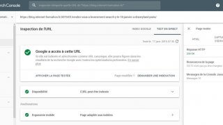 Nouvelles données dans l'inspection d'URL de la Google Search Console