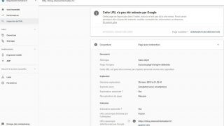 Recherche de l'URL canonique dans la Google Search Console
