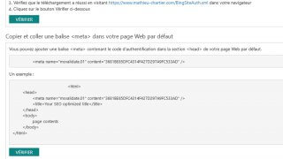Bing Webmaster Tools ajoute la vérification par DNS
