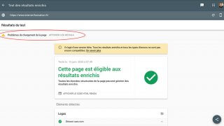 Voir les ressources bloquées pour GoogleBot dans l'outil de test des Rich results