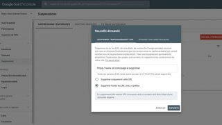 Suppression temporaire d'URL dans la Google Search Console