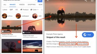 Badge de licence dans Google Images grâce aux données structurées