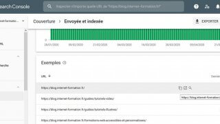 Copier-coller des URL dans la Google Search Console